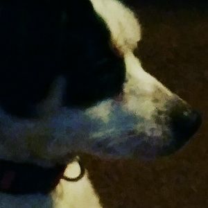 Meet your Posher, Aundraya